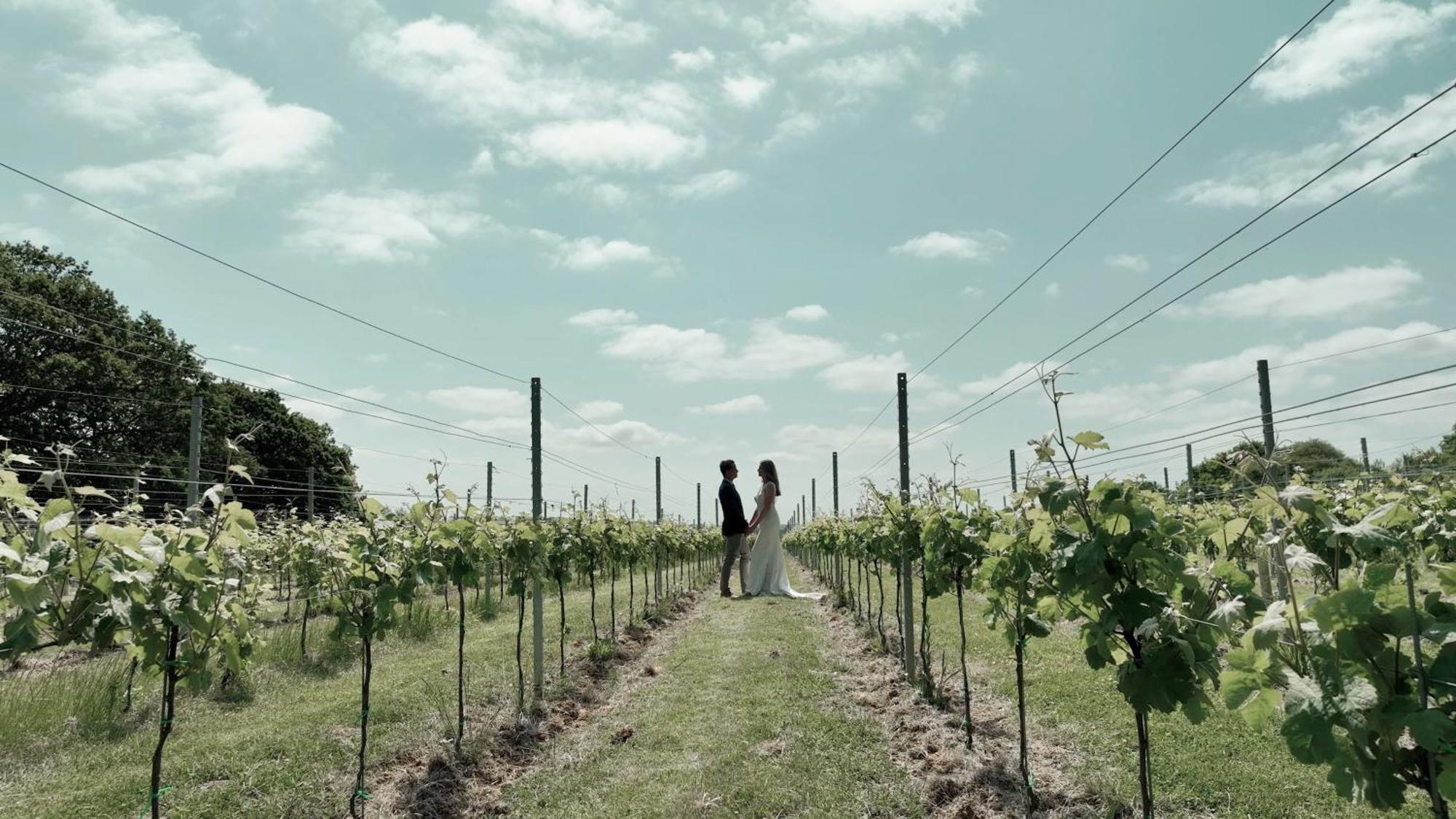 Villa Pinkmead Estate And Vineyard à Osborne  Extérieur photo